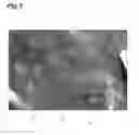 Fig. 04 - Scintillator panel and radiation detector