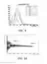Fig. 04 - 10B enriched plastic scintillators for application in thermal neutron detection, methods of making and using the same
