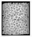 Fig. 01 - Composition comprising a three-dimensional amorphous trivalent network