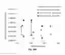 Fig. 10 - Flash annealing of transparent conductive oxide and semiconductor coatings