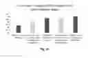 Fig. 19 - Flash annealing of transparent conductive oxide and semiconductor coatings