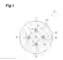 Fig. 02 - Multicore optical fiber with a core and a common cladding having a higher refractive index than the core, fiber Bragg grating, and method for manufacturing fiber Bragg grating