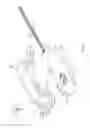 Fig. 06 - Optical fiber assembly and connection structure of optical fiber assembly and electronic device