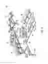 Fig. 03 - FIBER DROP TERMINAL