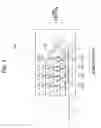 Fig. 02 - Drum unit having electrical contact surface positioned at outer surface of frame and image forming apparatus provided with the same