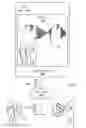 Fig. 02 - Facilitation of concurrent consumption of media content by multiple users using superimposed animation