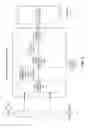 Fig. 07 - Systems, methods, and apparatuses utilizing an elastic floating-point number