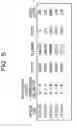 Fig. 06 - Data analysis apparatus, data analysis method, and storage medium