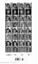 Fig. 07 - Unsupervised visual attribute transfer through reconfigurable image translation