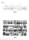 Fig. 02 - Machine learning based image processing techniques