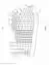Fig. 02 - Word line structure of three-dimensional memory device
