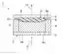 Fig. 01 - Wavelength conversion member including cavity, method for producing same, and light-emitting device