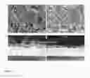 Fig. 02 - High efficiency large area perovskite solar cells and process for producing the same