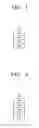Fig. 02 - Organic light-emitting device and electronic apparatus including the same