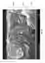 Fig. 33 - Barrier coating for opto-electronics devices
