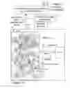 Fig. 03 - Polymer coatings and anode material pre-lithiation