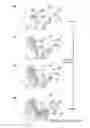 Fig. 04 - Polymer coatings and anode material pre-lithiation