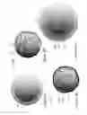 Fig. 09 - Polymer coatings and anode material pre-lithiation
