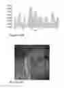 Fig. 28 - Polymer coatings and anode material pre-lithiation
