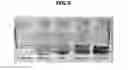 Fig. 06 - METHOD OF MANUFACTURING NANOCATALYST FOR FUEL CELL ELECTRODE
