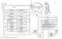 Fig. 01 - Wireless Area Network Enabled Mobile Device Accessory