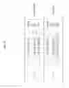 Fig. 26 - Method and apparatus for uplink multi-user transmission in a high efficiency wireless LAN