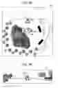 Fig. 07 - Imaging apparatus, imaging display control method, and program