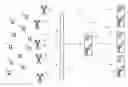 Fig. 01 - Wireless delivery of broadcast data