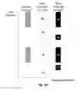 Fig. 08 - Framework for communications in unlicensed narrow band internet of things (NB-IOT) system