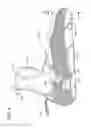 Fig. 05 - MOLDED WATERSPORTS AND COLD CLIMATE GLOVES