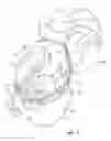 Fig. 09 - IMPACT ATTENUATION SYSTEM FOR A PROTECTIVE HELMET