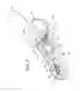 Fig. 03 - Motorized Shoe With Gesture Control