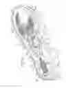 Fig. 04 - Motorized Shoe With Gesture Control