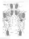 Fig. 12 - Motorized Shoe With Gesture Control