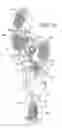 Fig. 16 - Motorized Shoe With Gesture Control
