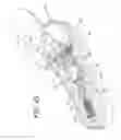 Fig. 42 - Motorized Shoe With Gesture Control
