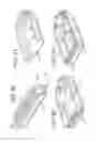 Fig. 67 - Motorized Shoe With Gesture Control