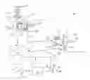 Fig. 01 - Method and plant for the production of apple sauce