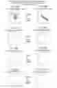 Fig. 49 - Methods and kits for assessing neurological and ophthalmic function and localizing neurological lesions