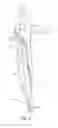 Fig. 16 - Surgical device with overload mechanism