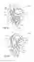 Fig. 07 - Systems and methods for treating cancer and/or augmenting organ function