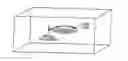 Fig. 01 - Method for Modifying the Refractive Index of Ocular Tissues
