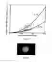Fig. 09 - Method for Modifying the Refractive Index of Ocular Tissues
