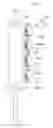 Fig. 01 - MODULAR DOSING ASSEMBLY OF MEDICAL SUBSTANCES