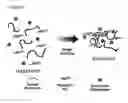 Fig. 02 - Temperature-sensitive composite and method for preparing same
