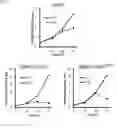 Fig. 09 - Lipid scavenging in Ras cancers
