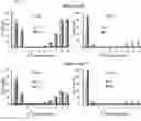 Fig. 10 - Lipid scavenging in Ras cancers