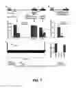 Fig. 09 - CONTROL AND CHARACTERIZATION OF MEMORY FUNCTION