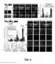 Fig. 11 - CONTROL AND CHARACTERIZATION OF MEMORY FUNCTION