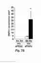 Fig. 09 - Wet-Electrospun Biodegradable Scaffold and Uses Therefor